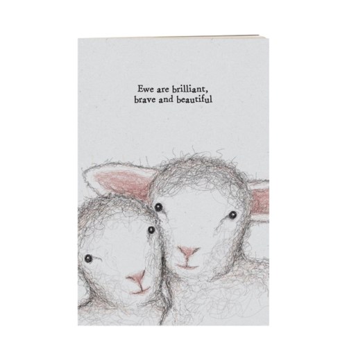 ewe are brilliant book 1